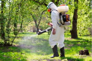 Акарицидная обработка